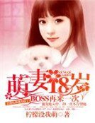 萌妻18岁：BOSS再来一次