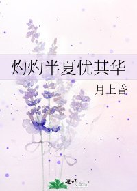 灼灼半夏忧其华